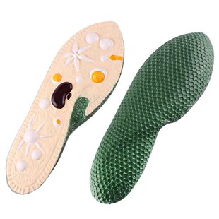 可普 生物模型草履虫水螅蚯蚓教学演示仪器教具环节动物微生物放大模型教师结构讲解实验器材解剖构造模型