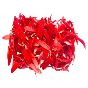 【槿馐】非洲菊花瓣1盒 红菊花花瓣西餐日料冷艺摆盘装饰点缀花草