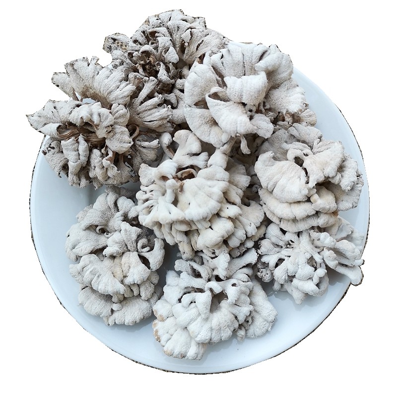 白参菌干货 精选无根嫩菇云南农家特产有嚼劲食用农产品山珍香菇