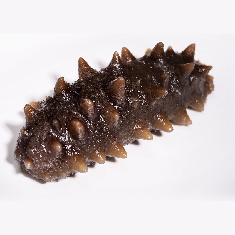 好当家即食海参500g*4袋深海底播