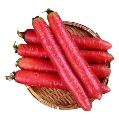 四川新鲜红萝卜生吃沙地水果红胡萝卜红心甜萝卜农家自种辅食蔬菜