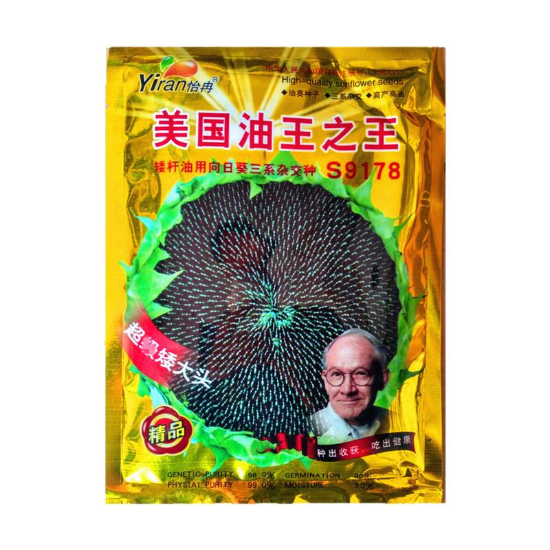 矮壮出油高油葵种子高产葵花种籽