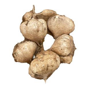 贵州土特产新鲜现挖现发即食番薯白心地萝卜凉薯地瓜鲜果500g包邮