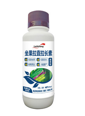 辣椒豆角黄瓜丝瓜茄子芒果苦瓜膨大拉直拉长素专用蔬菜增产叶面肥