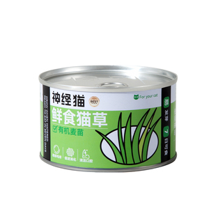 小麦猫草种植猫草盆栽懒人猫草罐头幼猫咪助排化毛草冻干薄荷片膏