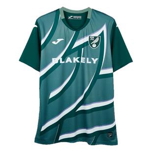 SFS荷马Joma 25/26诺维奇客场球员版球衣短袖足球服男5156FP0569