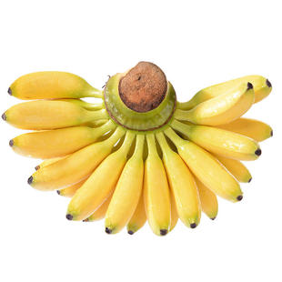 广西小米蕉香蕉新鲜当季整箱水果小甜焦小米芭蕉青焦包邮