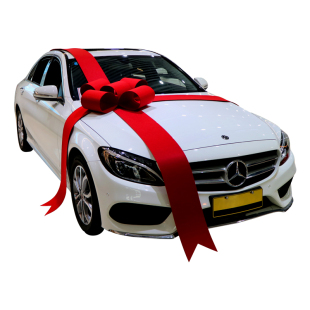 提新交车蝴蝶结汽车4s店展厅车上市仪式布置装饰用品大红花蝴蝶结