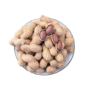 【新货】炒花生原味带壳小珍珠花生果蒜香核桃下酒菜多味休闲零食