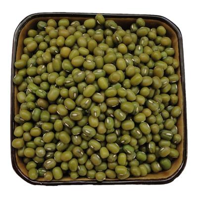 农家自种生豆芽专用东北绿豆煮粥