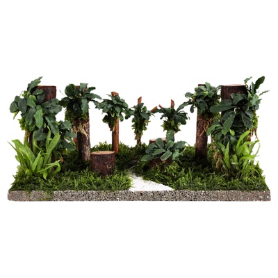 古比鱼适配小米鱼缸造景一体成森林造景沉木水草造景套餐鱼缸摆件