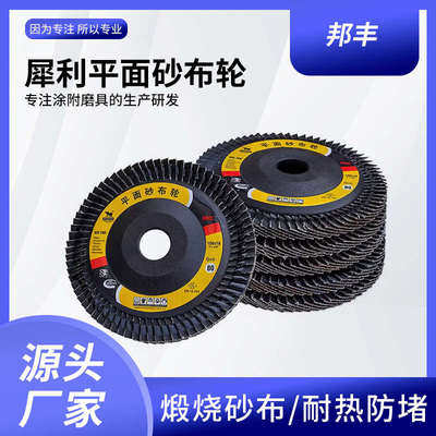 犀利CSG百叶轮打磨片百叶片加厚型角磨机抛光片100叶轮白叶轮抛光