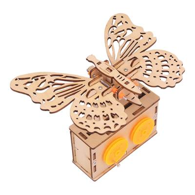 探梦物理机械蝴蝶模型