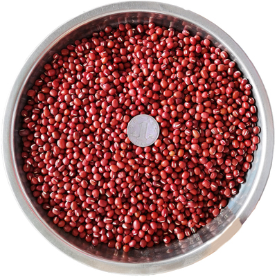 家用商用东北小红豆好煮易出沙