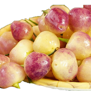 纯香果广西七彩椒新鲜辣椒蔬菜五彩辣椒田园新苗灯笼椒整箱包邮