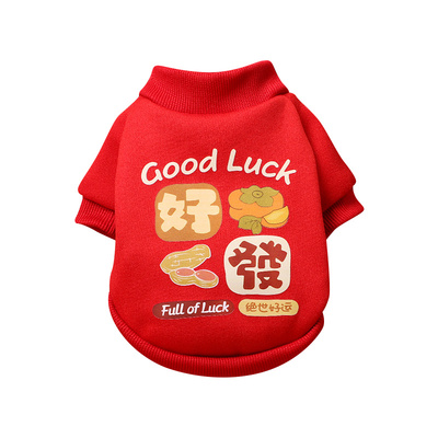 狗狗新年红色衣服泰迪比熊