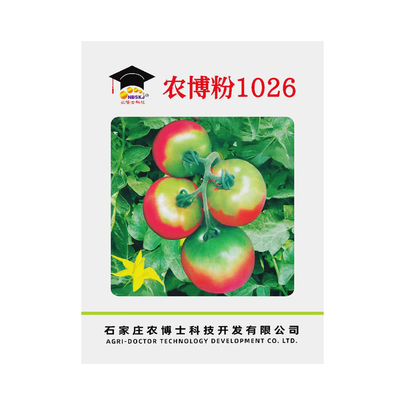 农博粉1026番茄种子粉果绿果肩水果西红柿种籽春秋棚草莓番茄种籽