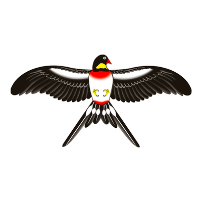 儿童手持鱼竿迷你小风筝微风易飞