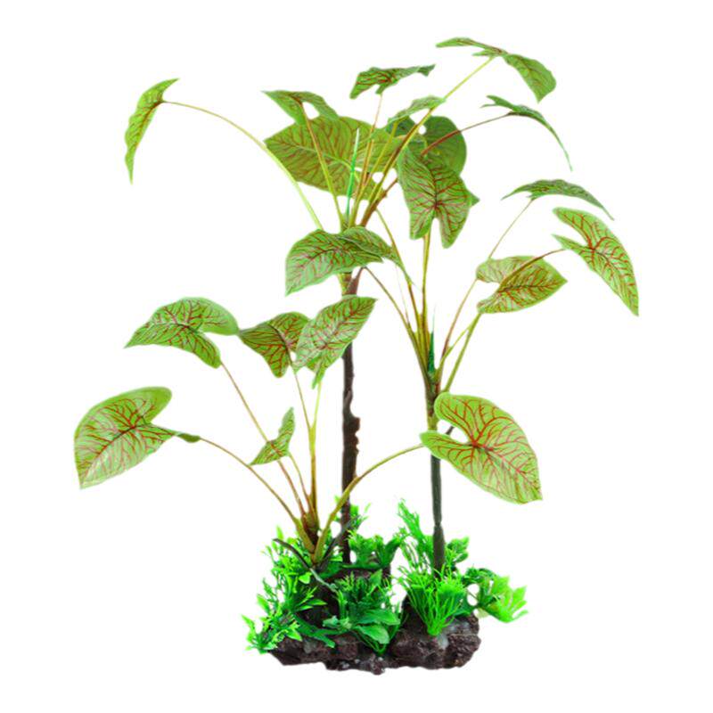 鱼缸装饰里的水草植物假草龟缸生水草