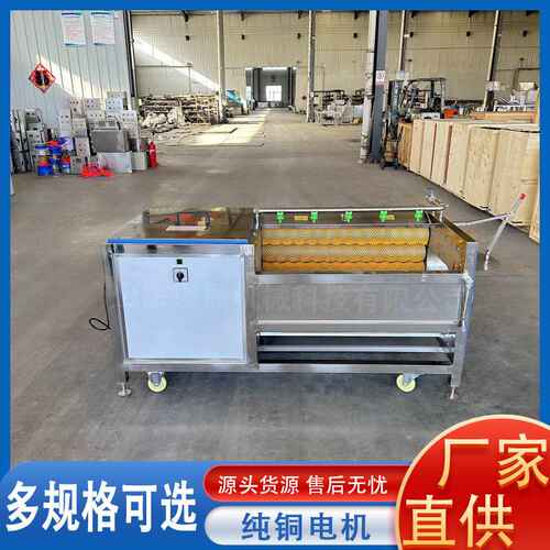厂家直销全自动毛辊红薯土豆清洗去皮机工业大型莲藕姜去皮清洗机