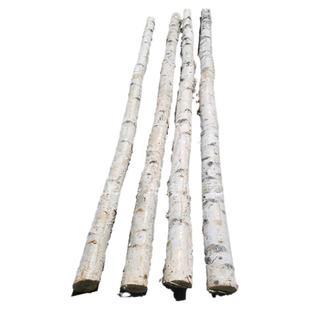 白桦树装饰真白桦树干实木真树干树枝树杈田园隔断屏风玄关背景墙