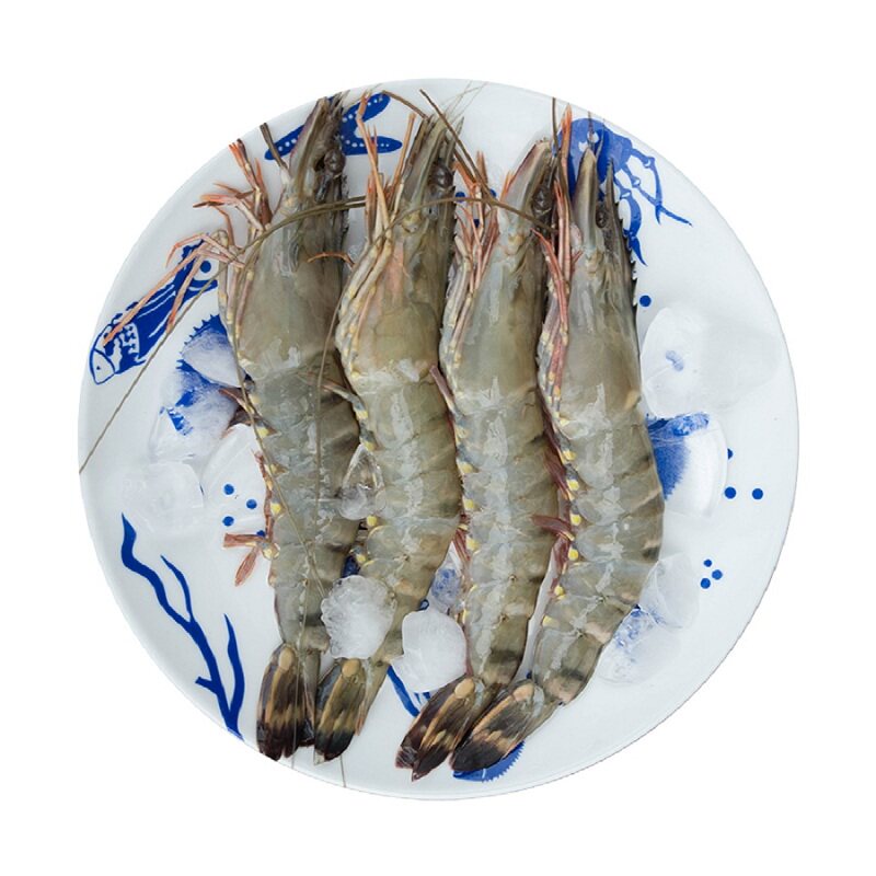青岛大虾野生黑虎虾大草虾斑节虾