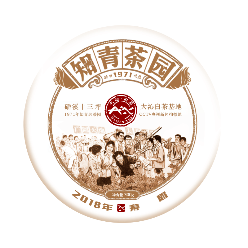 大沁老白茶知青茶园福鼎白茶2018年春寿眉300g茶饼枣香