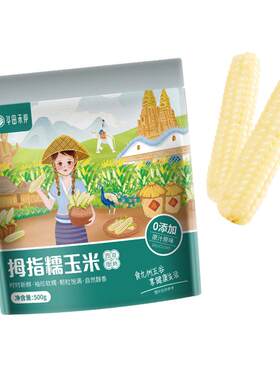 新鲜云南版纳非转基因拇指玉米