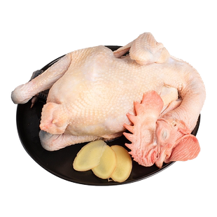 立华鲜 雪山鸡S168雪山草公鸡谷物农养整只鸡 鸡公煲红烧鸡1kg