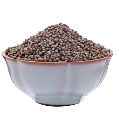 蔬菜紫苏散装药用盆栽苗四季种籽