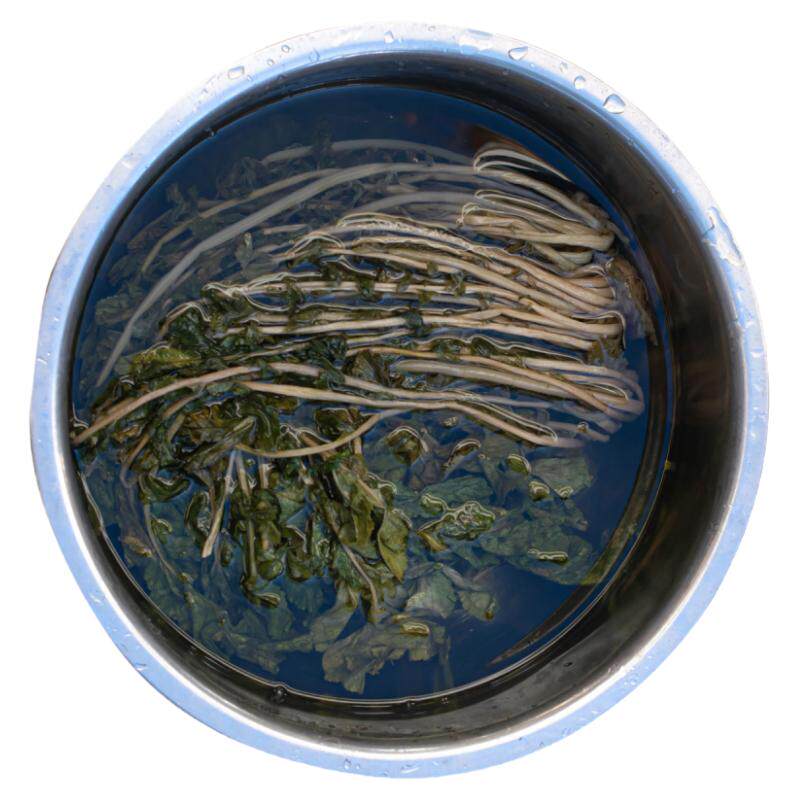 云南萝卜缨子干菜干萝卜叶