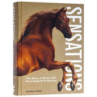 Sensations 轰动:英国艺术的故事,从霍加斯到班克西进口原版英文书籍