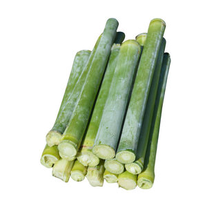 甜杆甜柑种子籽北方甘蔗种子高粱种子高糖度甜脆多汁甜棒水果春季