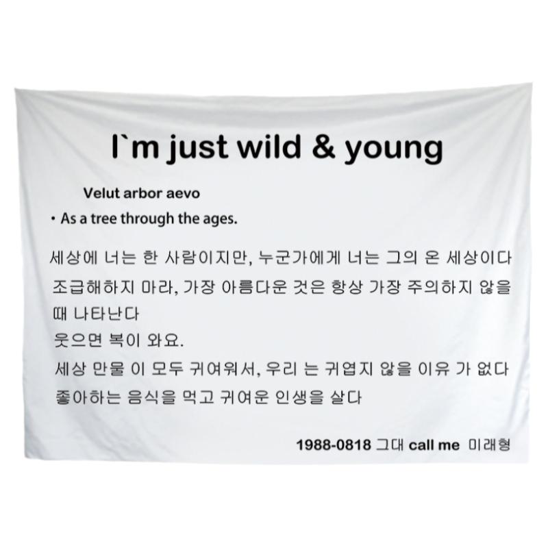 韩式ins风挂布网红文字简约户外拍照野营活动装饰布卧室背景布毯