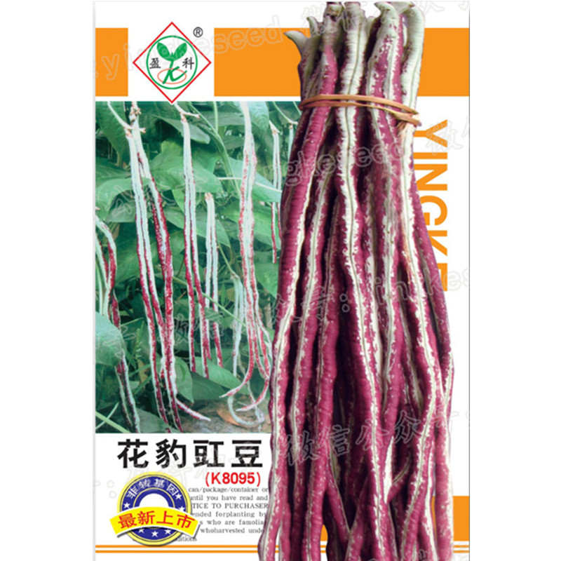花豹豇豆种子高产架豆厚肉花红特长豆角种籽春夏秋季大田蔬菜种孑