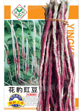 花豹豇豆种子高产架豆厚肉花红特长豆角种籽春夏秋季大田蔬菜种孑