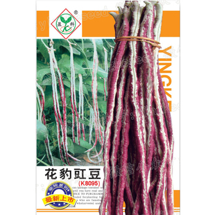 花豹豇豆种子高产架豆厚肉花红特长豆角种籽春夏秋季大田蔬菜种孑