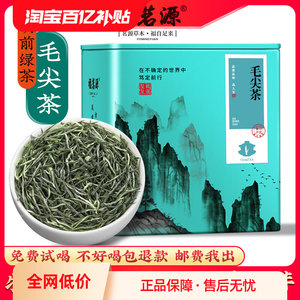 2024新茶毛尖茶叶信阳绿茶明前非特级嫩芽A浓香型散装毛尖茶250g