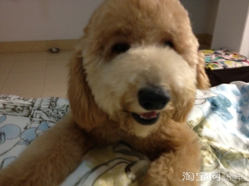 相宜本草眼霜