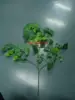 Товары от 与儿童牵手