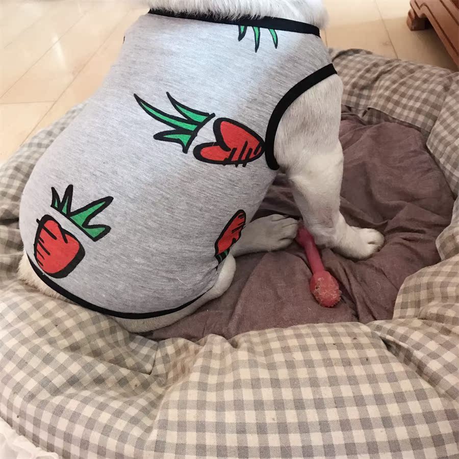 独家定制法斗衣服英斗恶霸泰迪柯基胖狗均可热卖春夏草莓背心