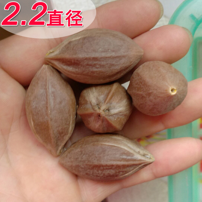 橄榄核雕手串橄榄胡原料老油大核长核雕雕刻厚核关公观音料2.2大