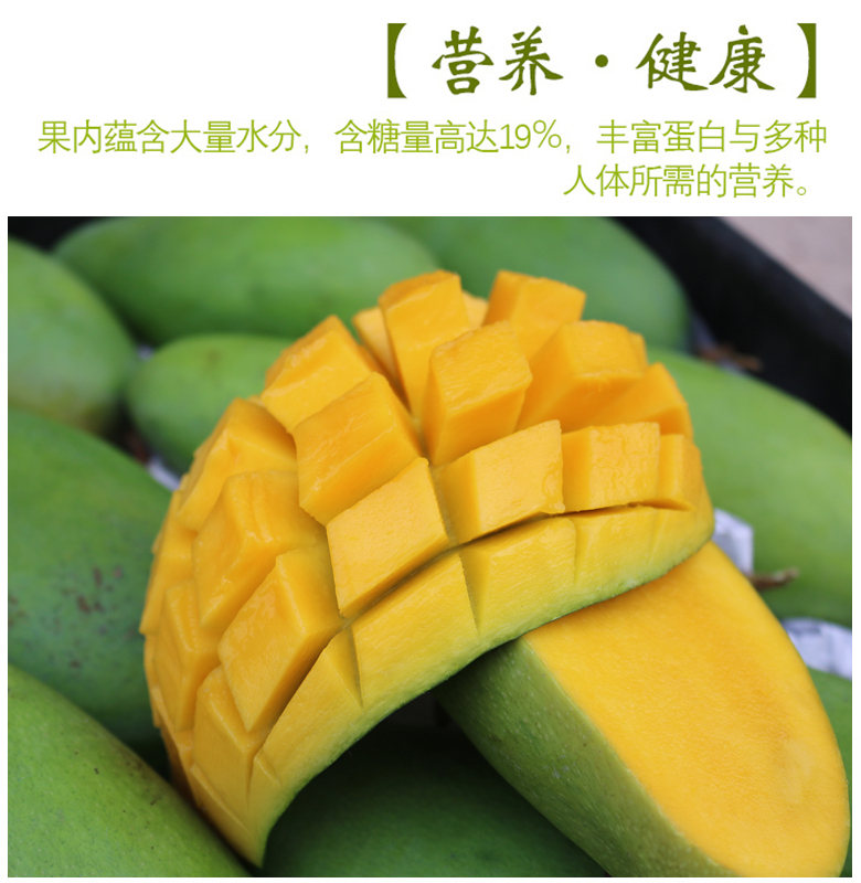 芒果甜心芒果小青芒5斤新鮮水果小金煌芒非大青芒貴妃芒果玉芒