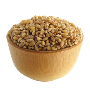 新小麦粒5斤农家自产 磨面做麦酱麦芽糖 小麦草种子 带皮麦子种籽