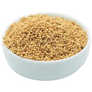 威毕黄谷子带壳小米粟谷 虎皮牡丹玄凤鹦鹉 文鸟鸟粮鸟食饲料250g