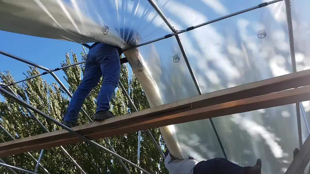 Low Cost Hight Quality Galvanized Steel Pipe Polytunnel Greenhouse