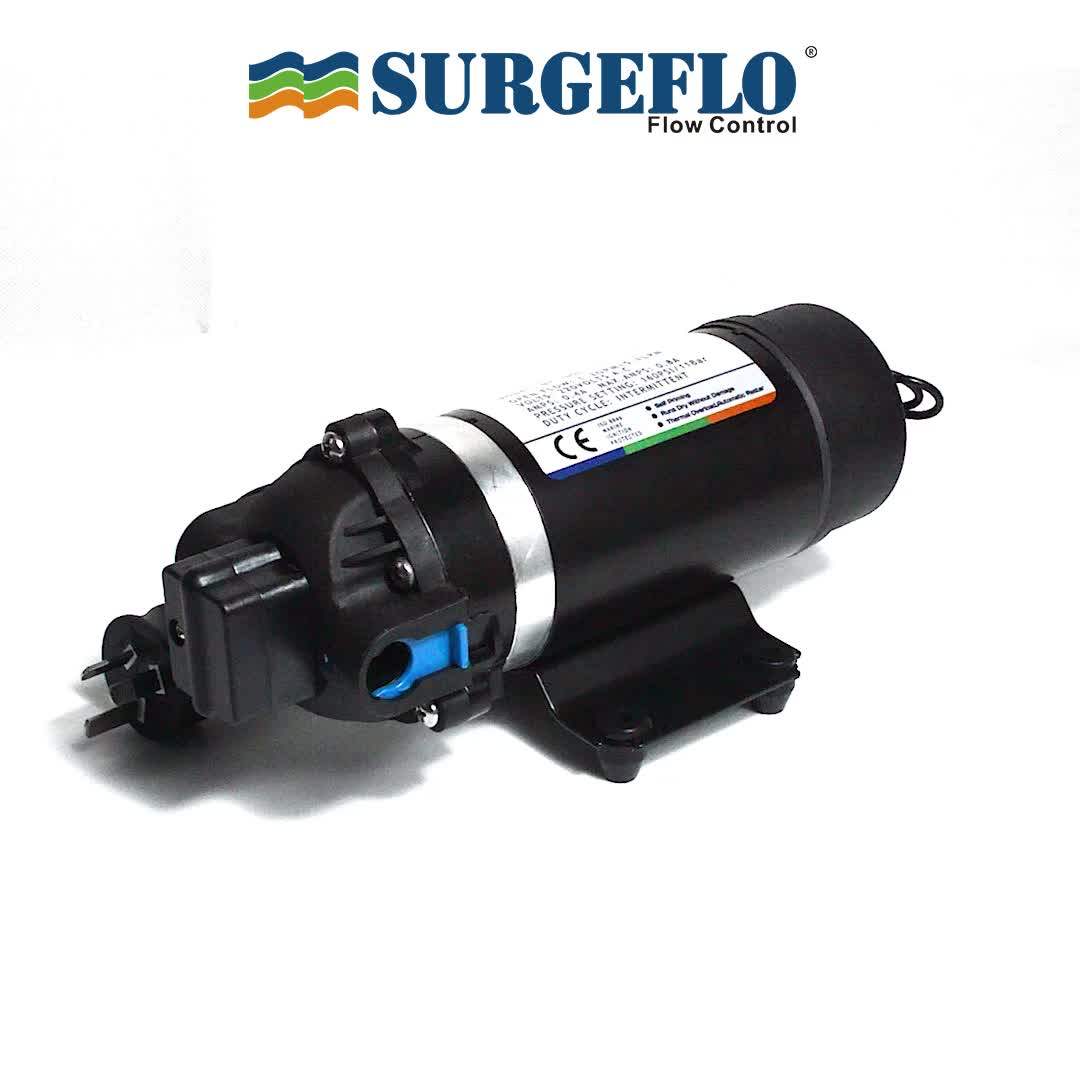 Surgeflo Pump Spray/pressure Water Pump/low Flow High Pressure Micro