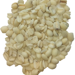 2025新米上市宁化发货糯薏米福建农家小薏米仁意米祛湿苡仁500gx2