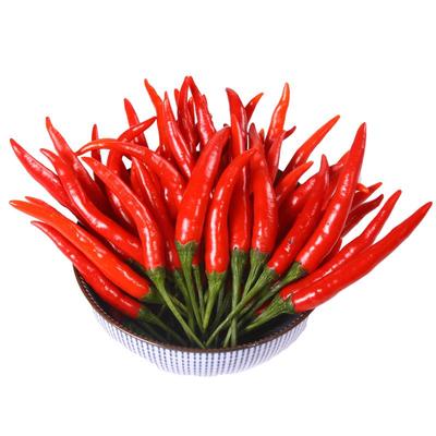 云南新鲜红辣椒小米椒小米辣特辣
