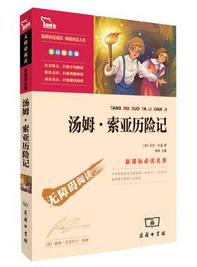 汤姆索亚历险记六年级下册